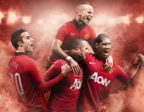 猫的保护提 猫的保护提