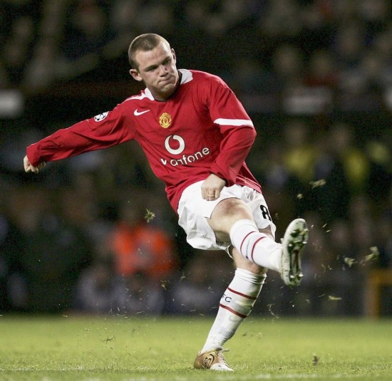 养孩子的安 养孩子的安